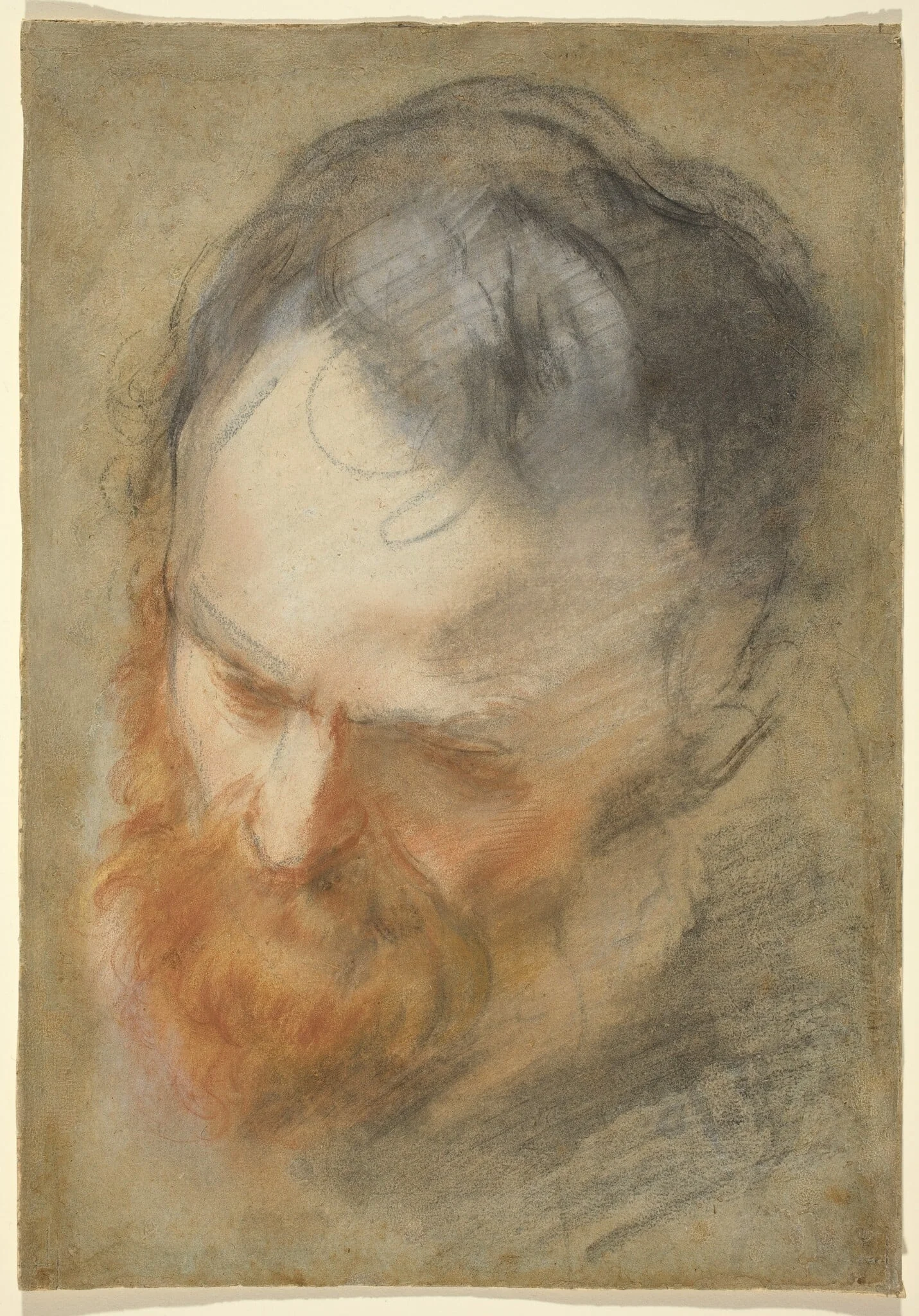Head of a Bearded Man, by Federico Barocci, chalk, 1580