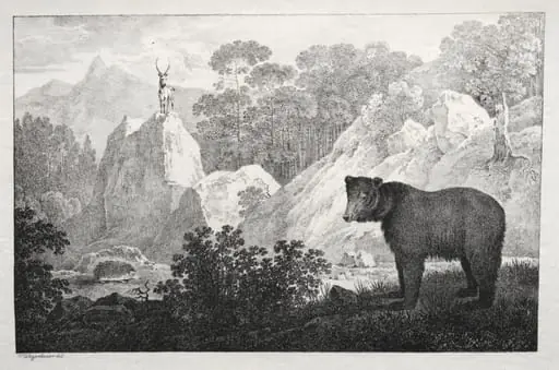 Mountainous Landscape with Bear in the Foreground
