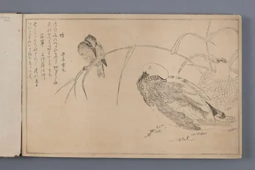 Kaczki i zimorodek (ilustracja z albumu Momo chidori kyōka awase) - zeszyt, w którym przedstawione są kolejne etapy wykonywania odbitki z drzeworytu.