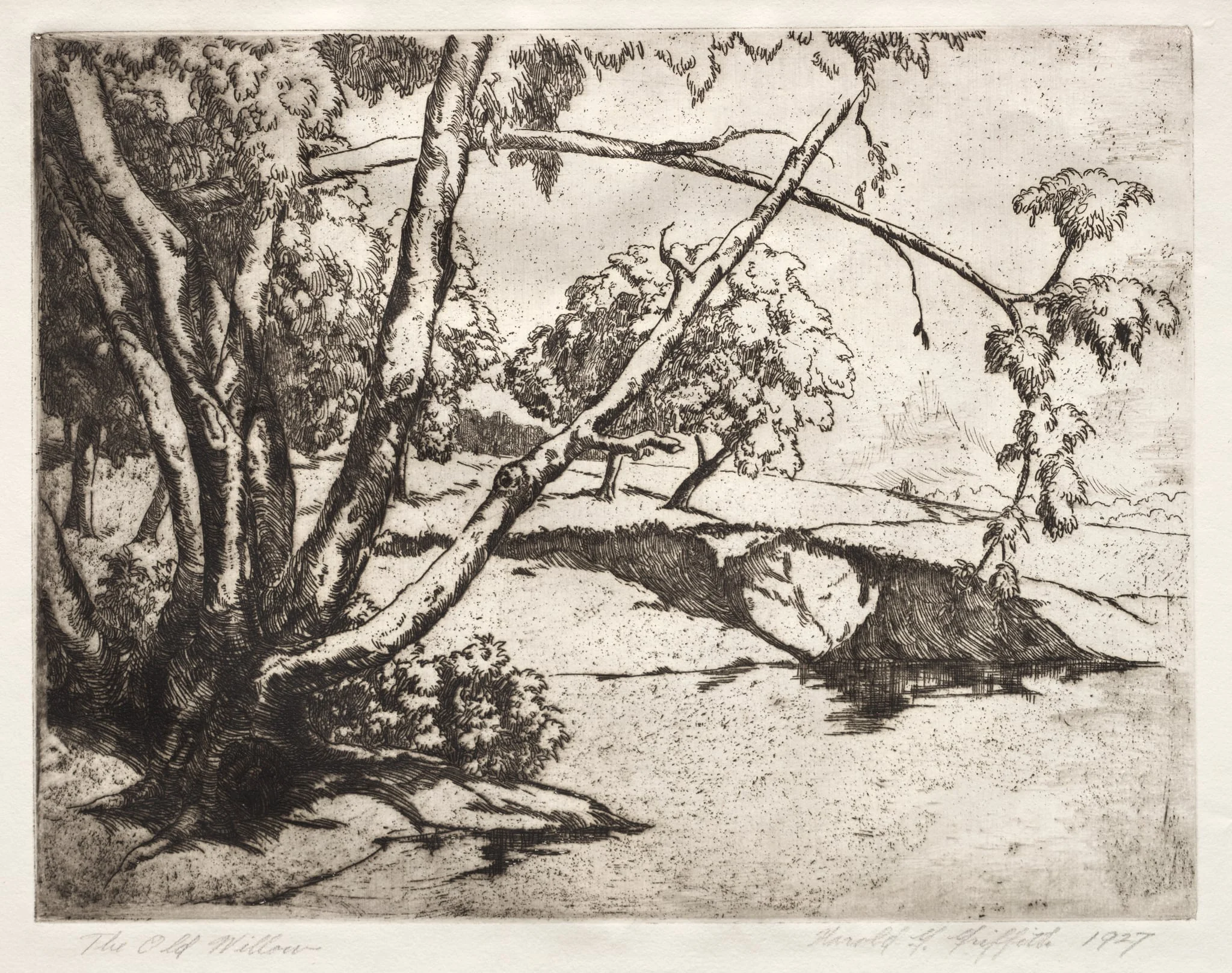 The Old Willow, by Harold G. Griffith, 1927