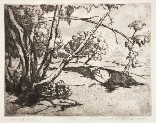 The Old Willow