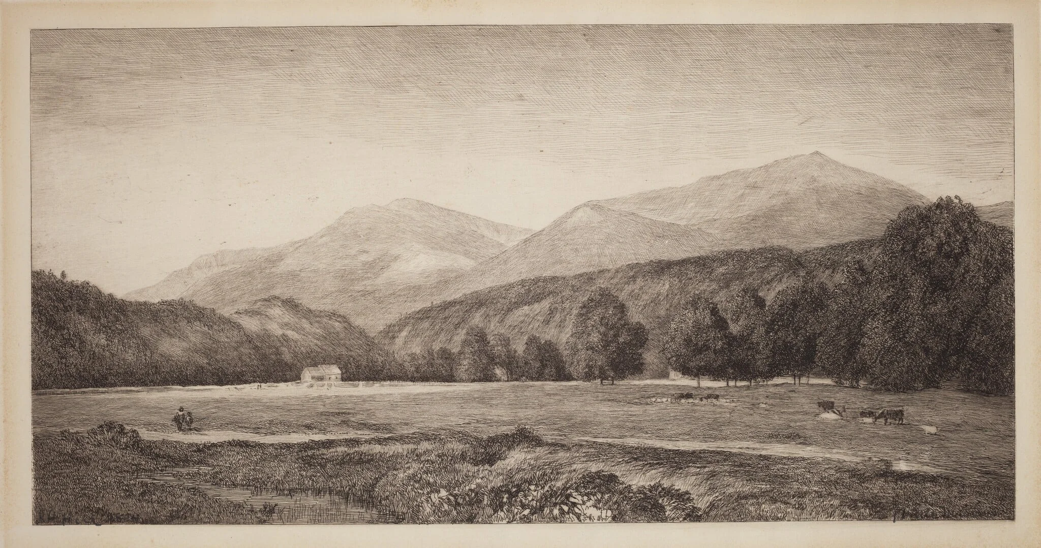 White Mountains