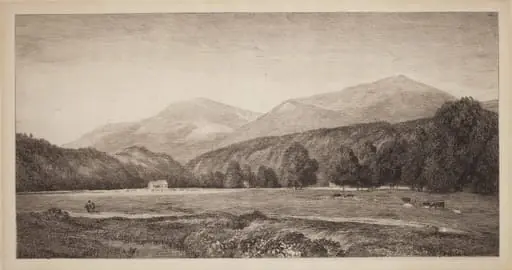 White Mountains