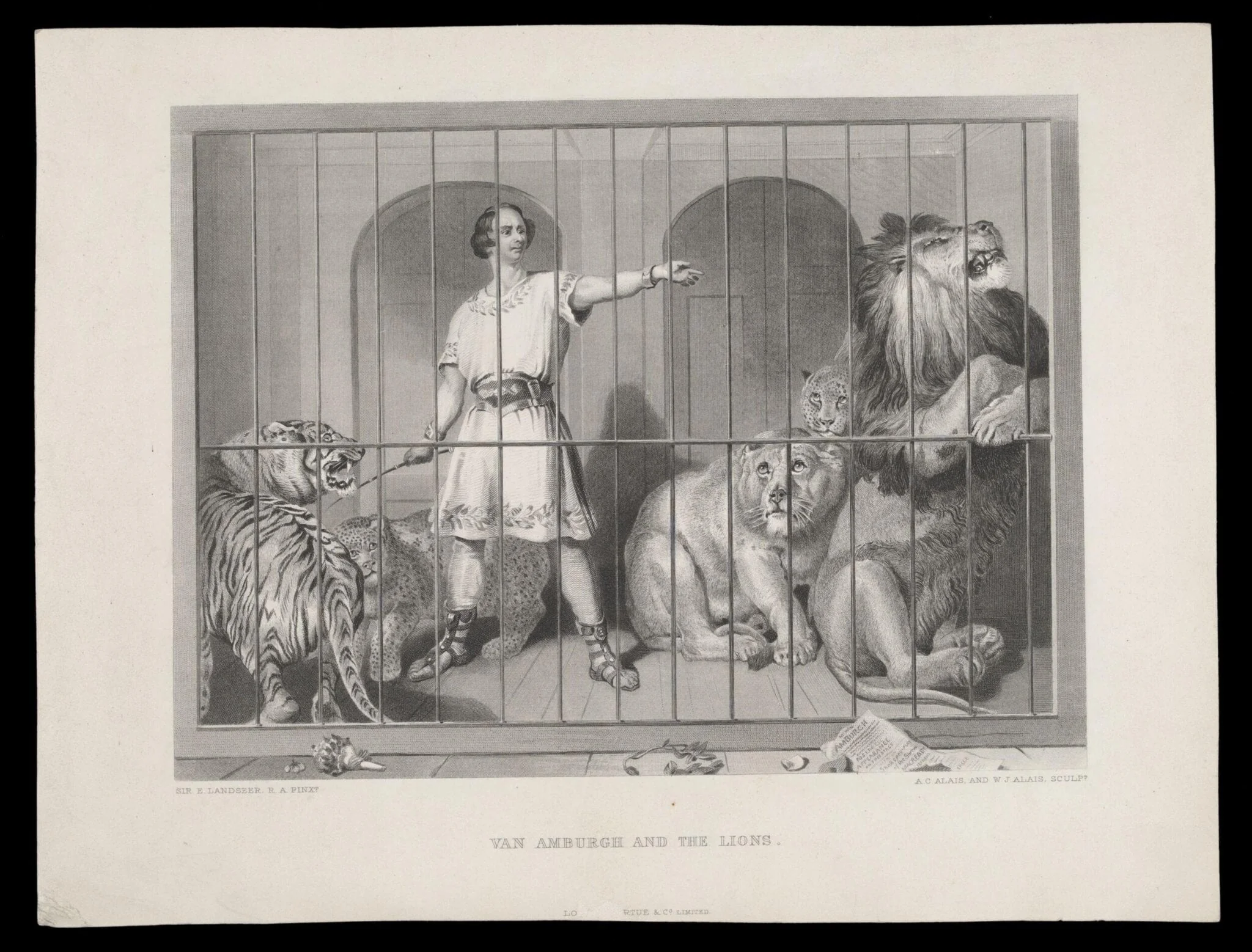H Beard Print Collection, by Edwin Landseer, 1850