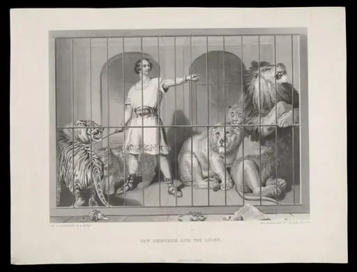 H Beard Print Collection