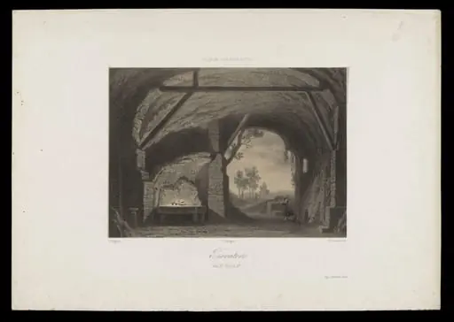 H Beard Print Collection