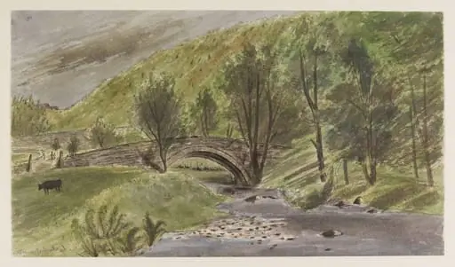 Dol-y-moch Bridge in the Maentwrog Valley, Merionethshire