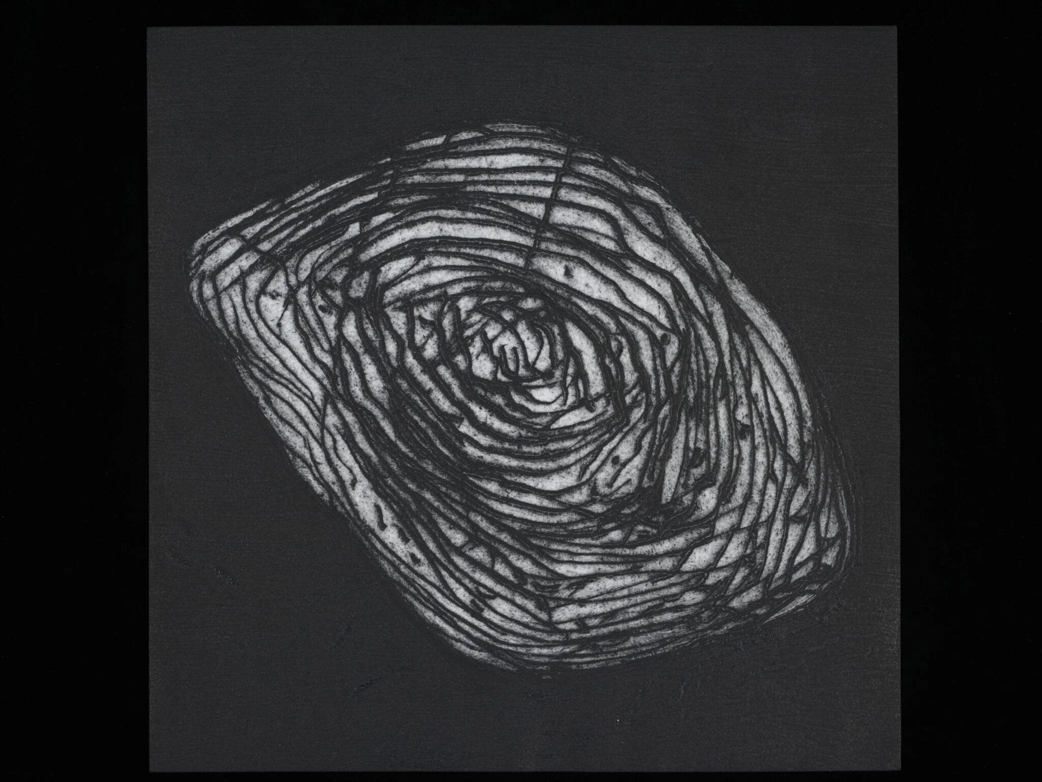 Almond Trees (Freud's Garden) 1939, by Frances Murray, 2011