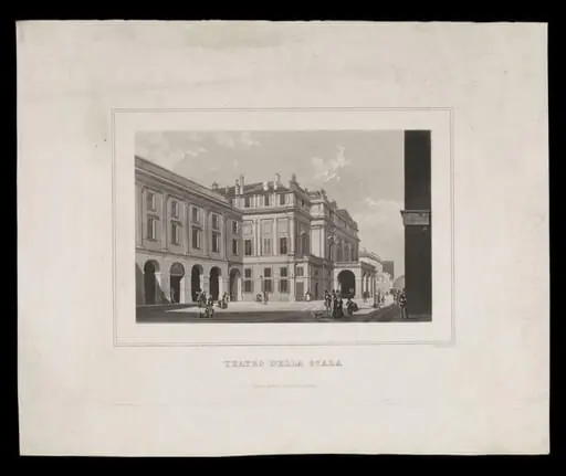 H Beard Print Collection