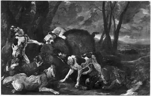 Boar hunt