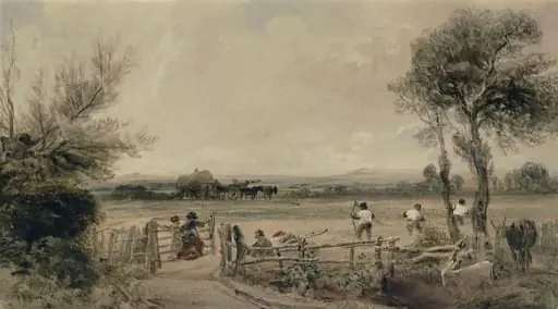 The Hay Harvest