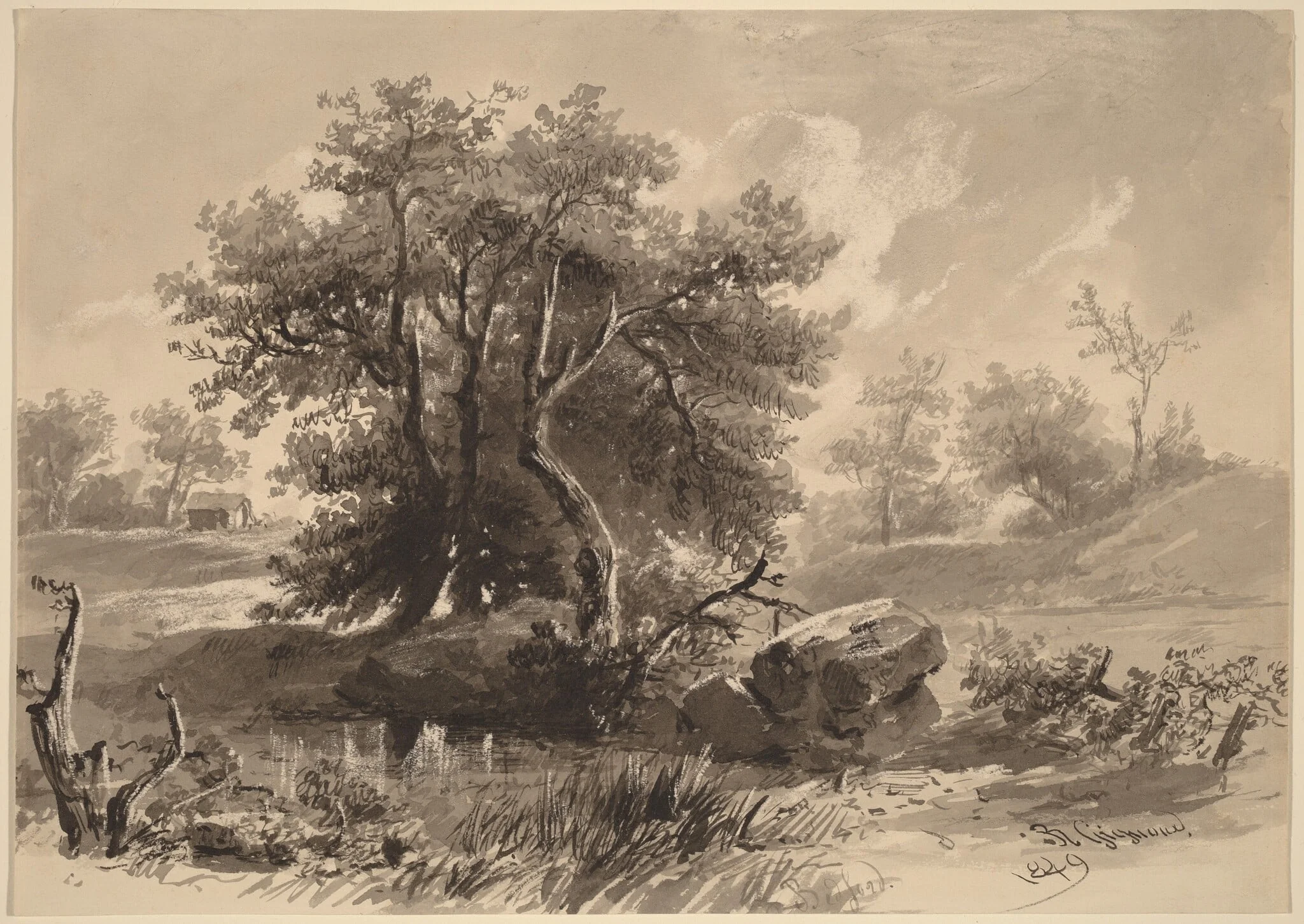 The Trees, Bedford, New York, by Régis François Gignoux, ink, 1849