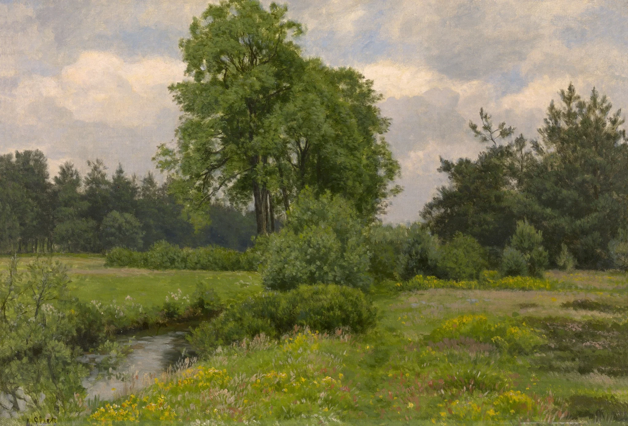 Landscape