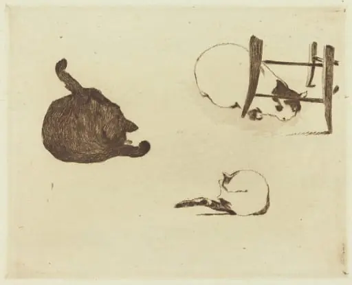 The Cats (Les chats)