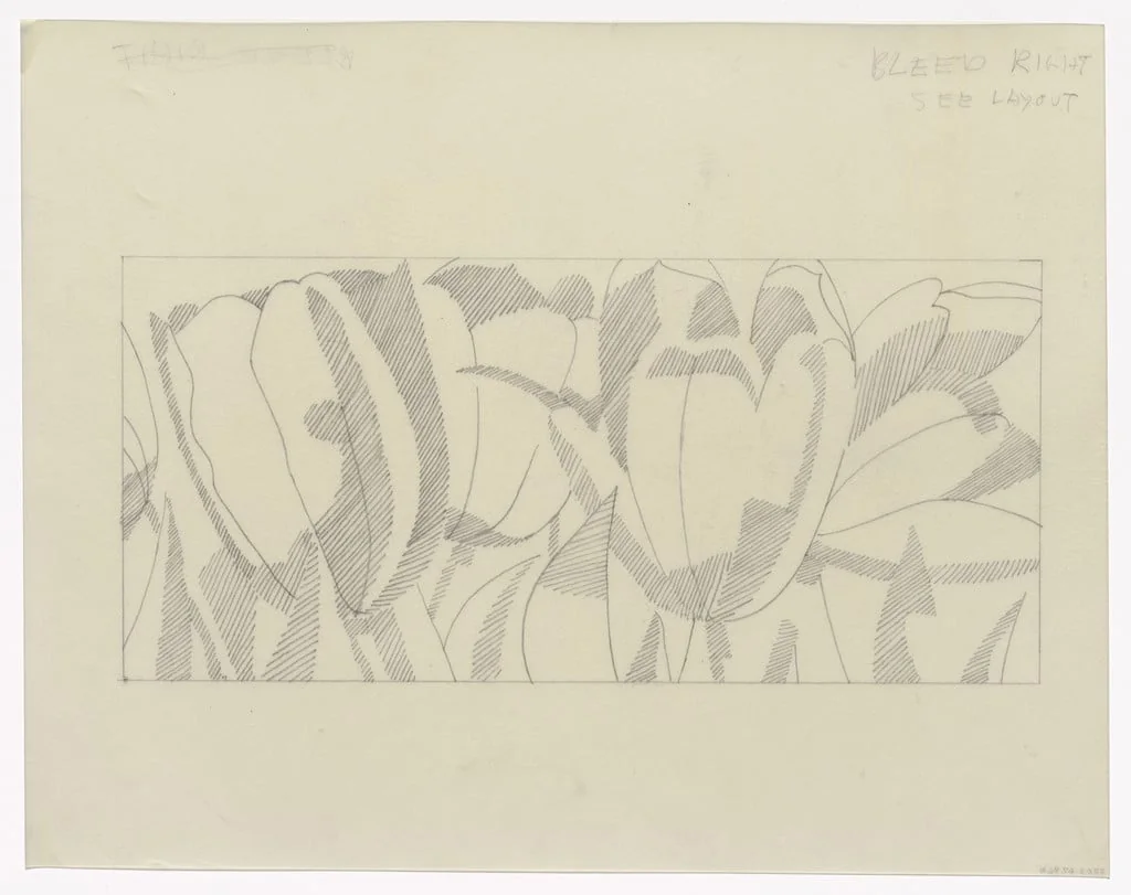 Untitled, by Alex Katz, graphite, 1967