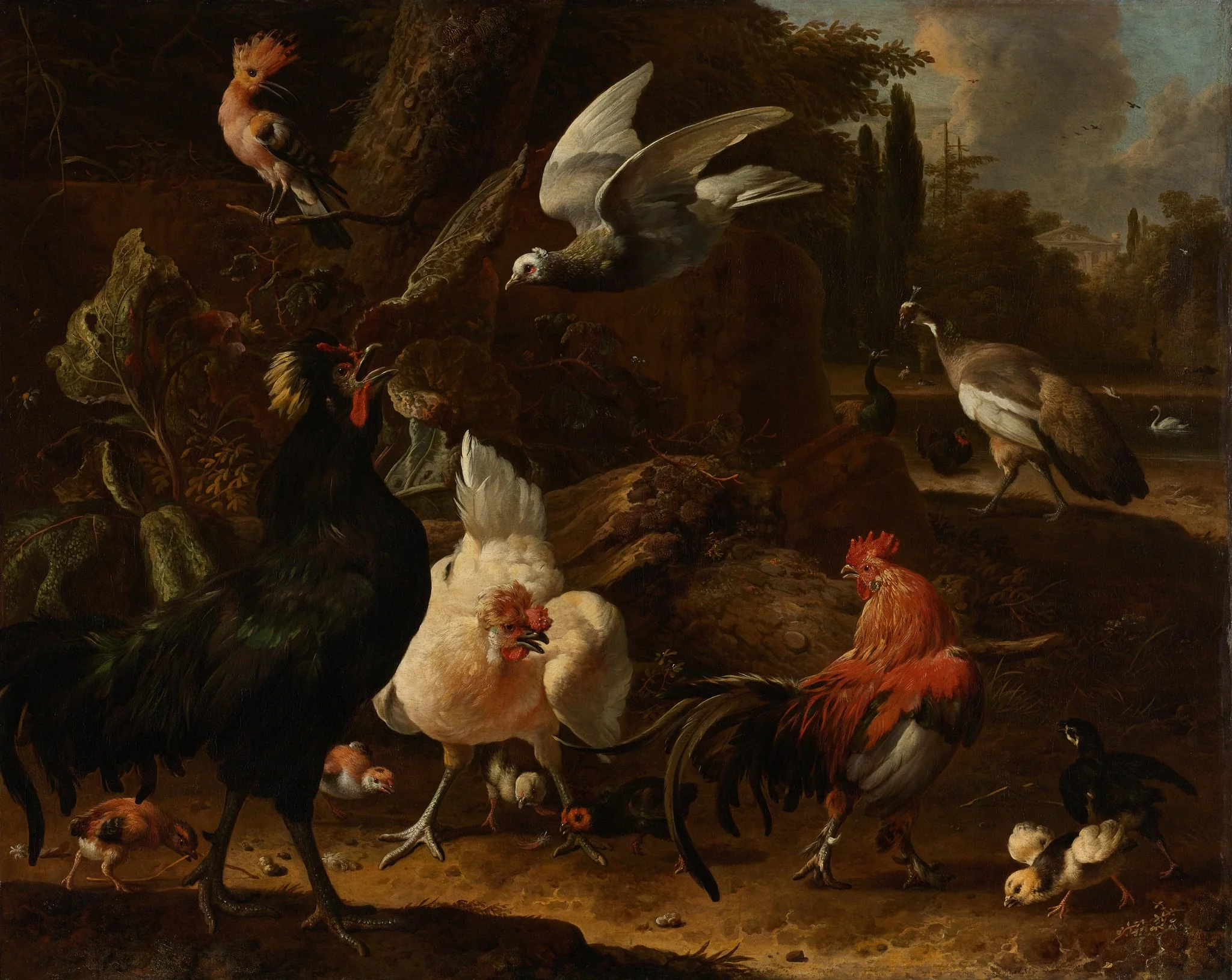 Birds in a Park