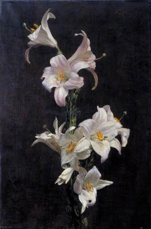 White Lilies