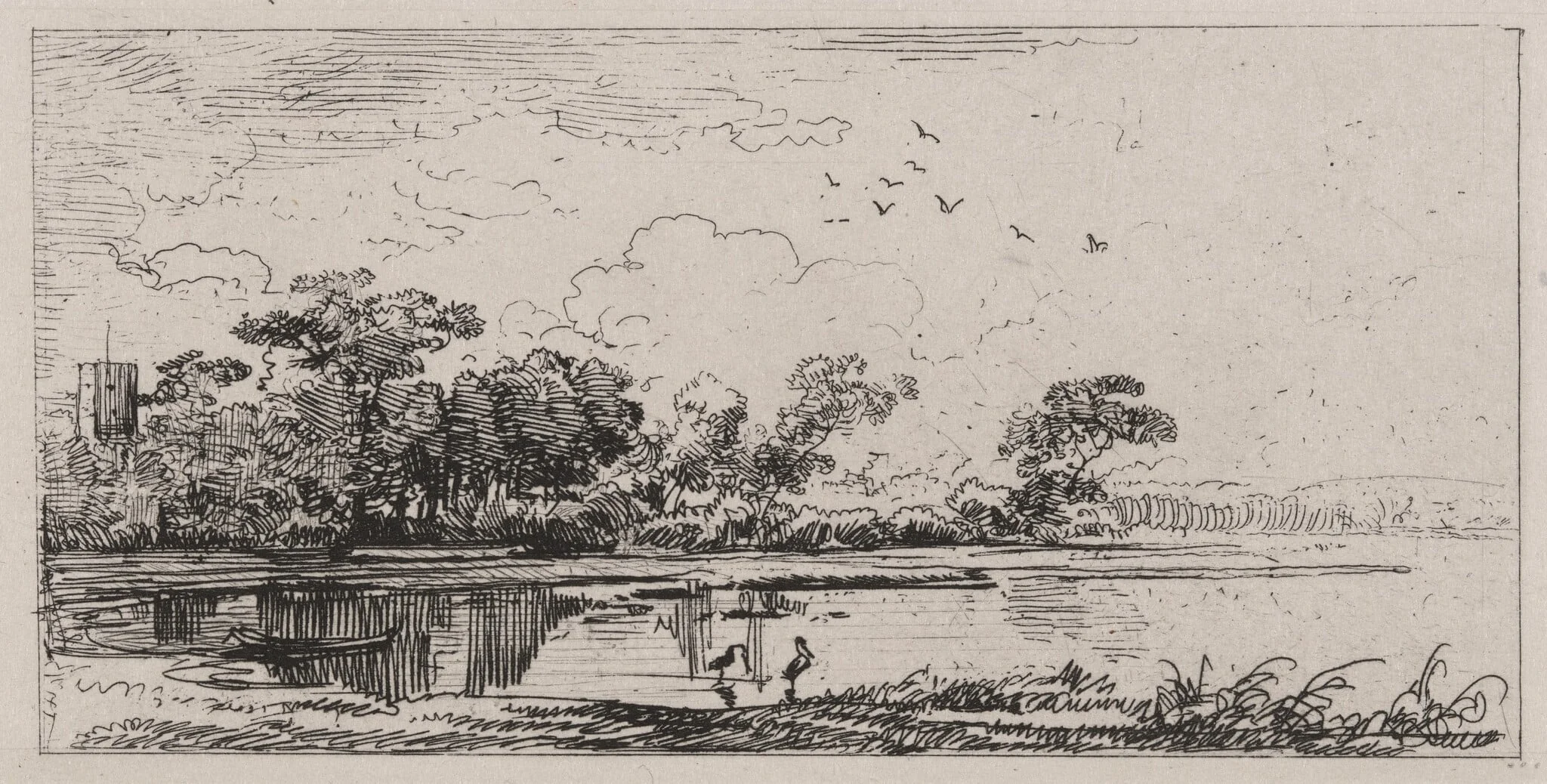 Lowland Marsh with Water Birds