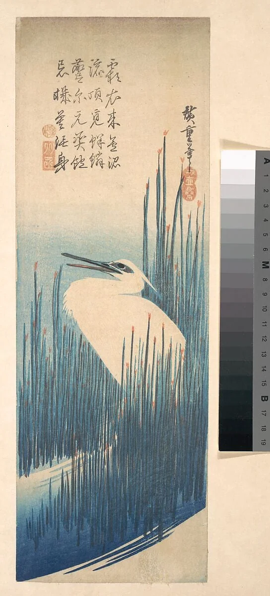 歌川広重画　芦に鷺|White Heron Standing among Reeds, by Utagawa Hiroshige, ink, 1835