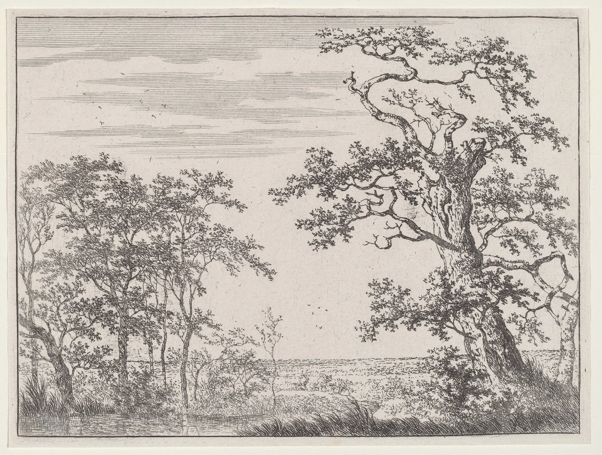 Landscape with a Stream and an Ancient Tree, by Adriaen Hendricks Verboom, ink, 1664