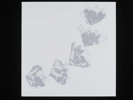 Reticulation