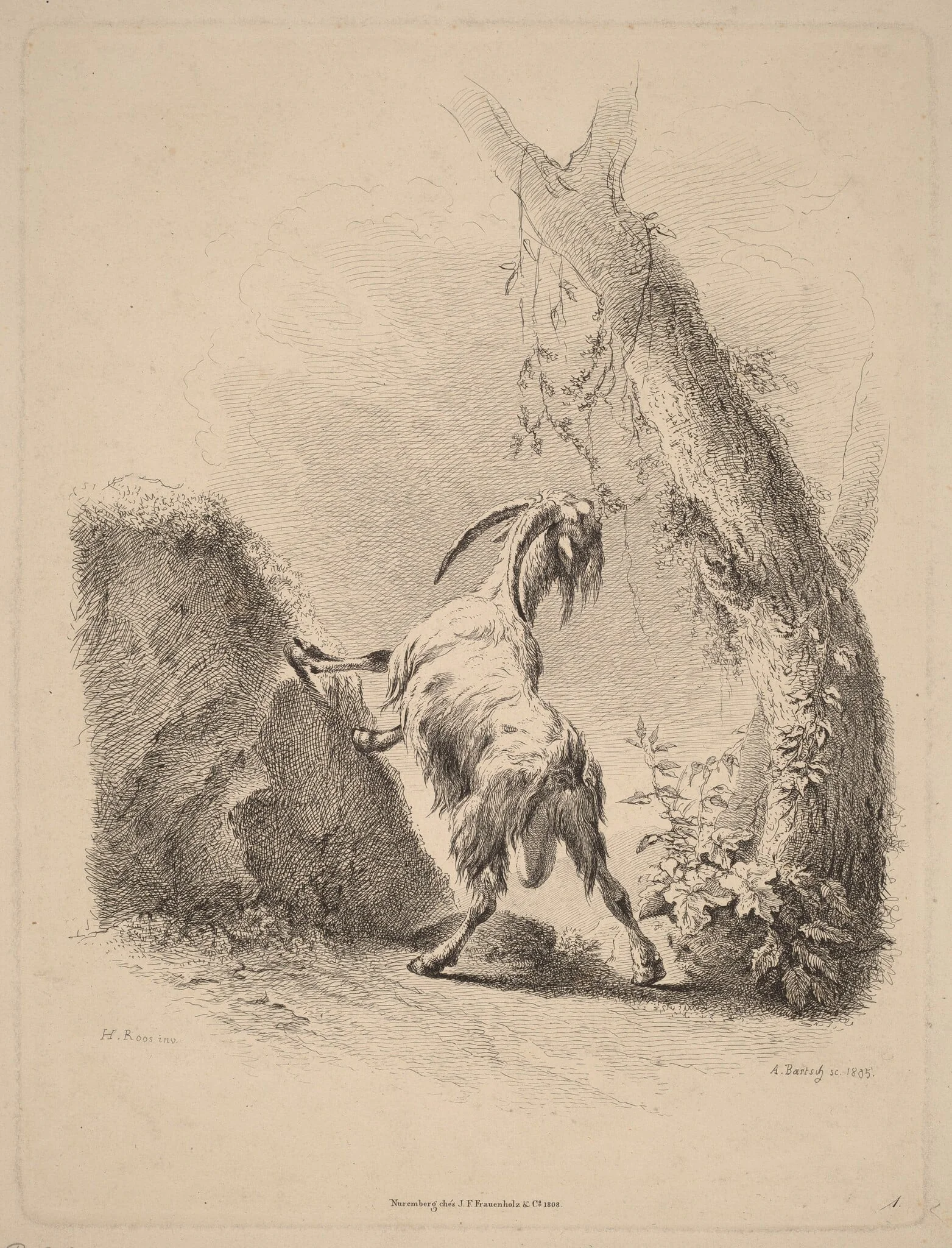 Goat in a Landscape, by Adam von Bartsch, ink, 1805
