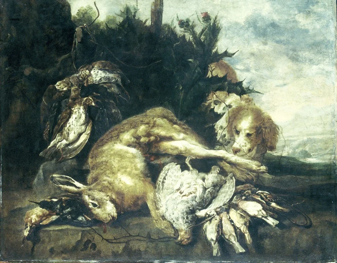 Q27950971
