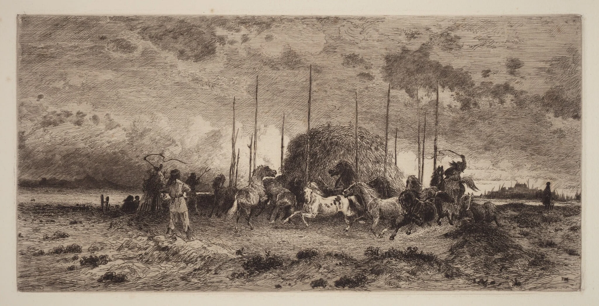 Harvest at San Juan, New Mexico