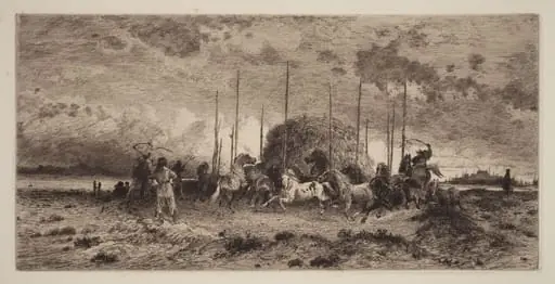 Harvest at San Juan, New Mexico