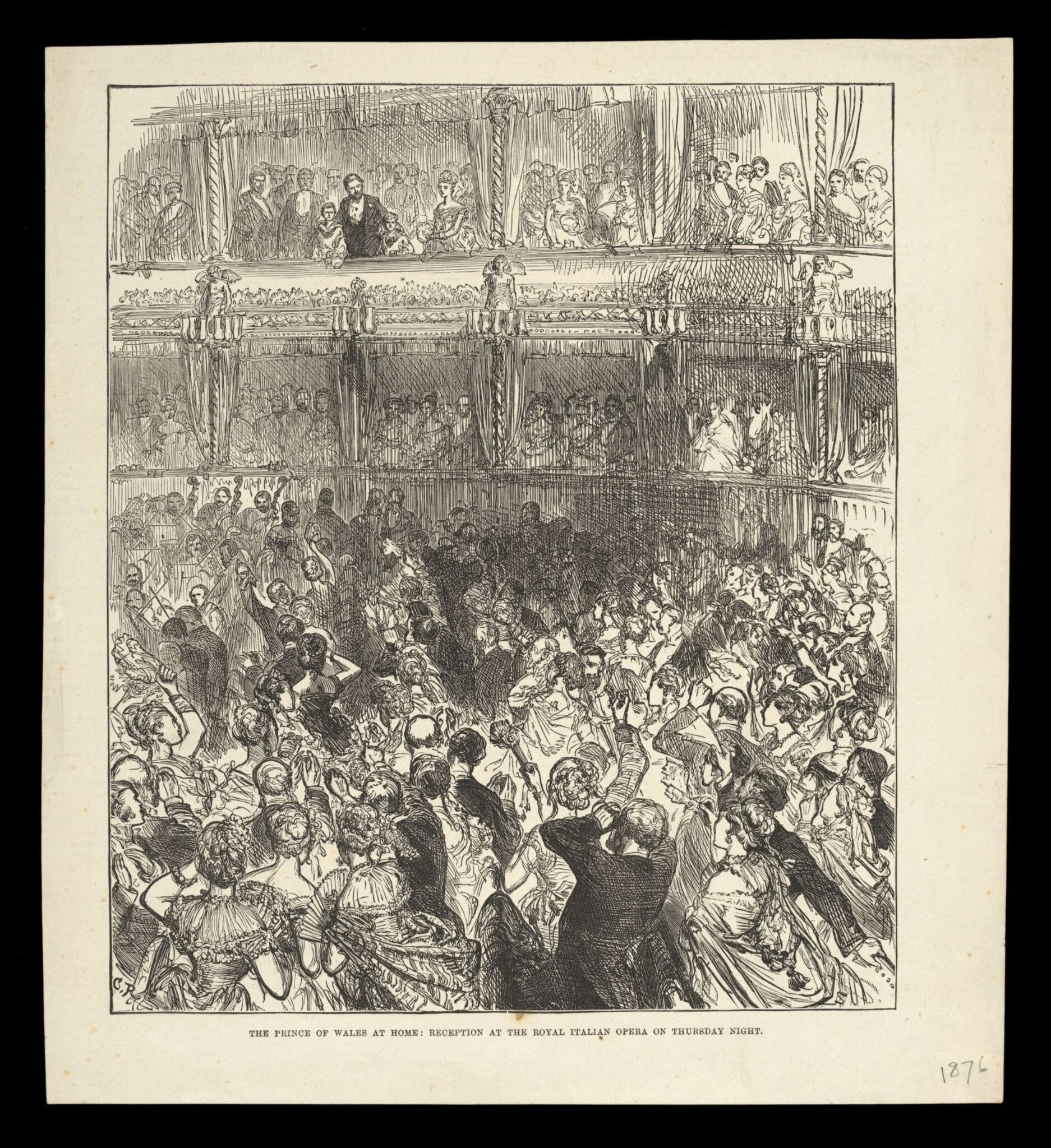 H Beard Print Collection