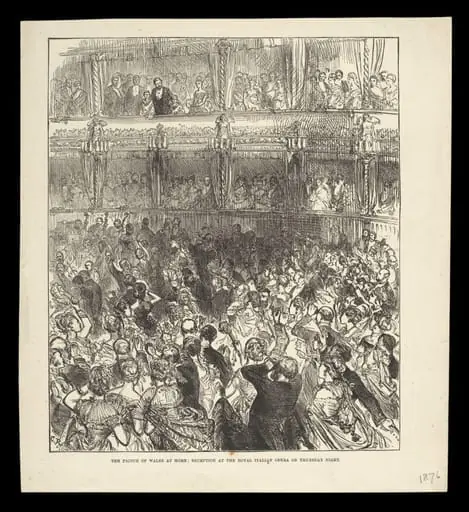 H Beard Print Collection