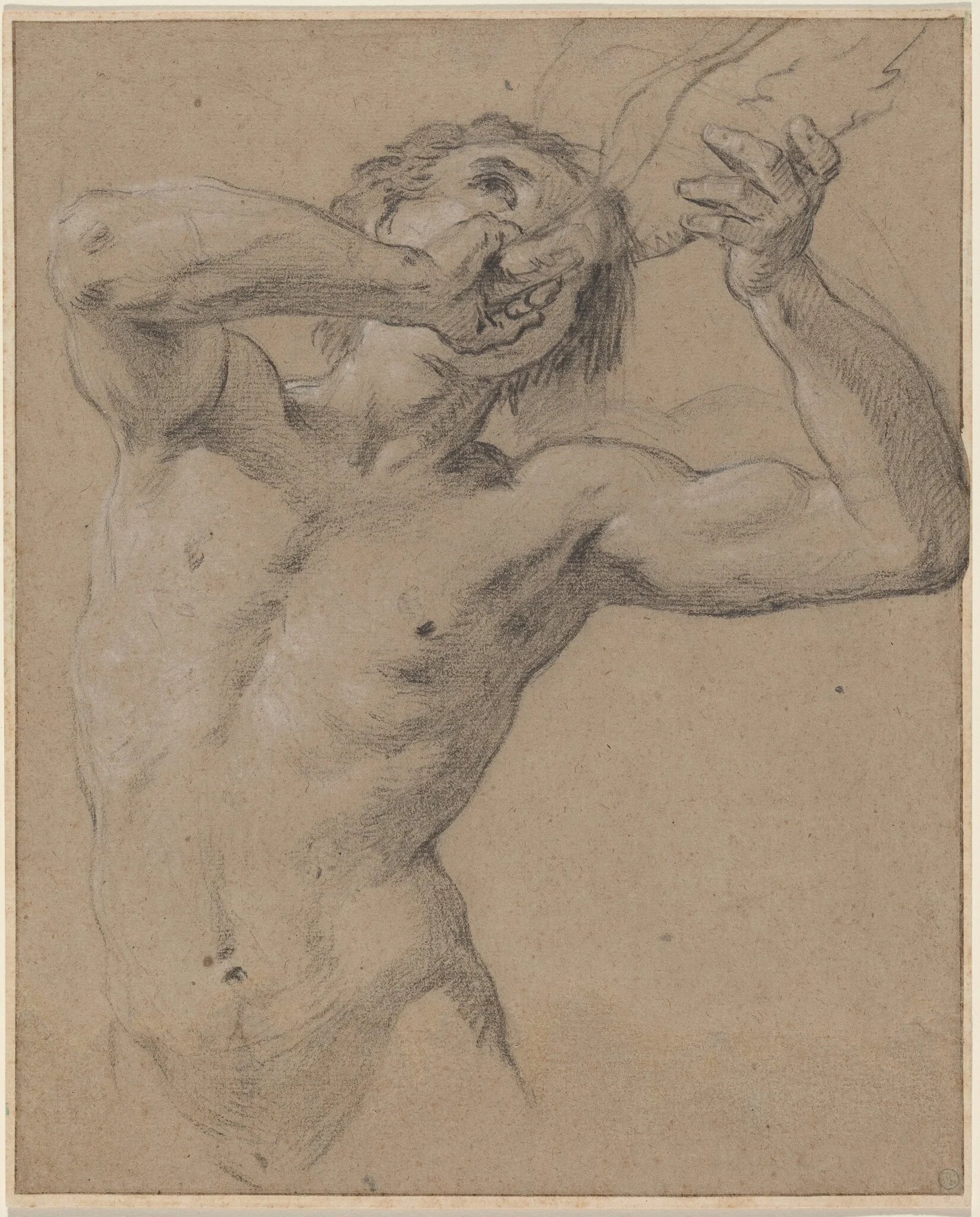 A Triton Blowing a Conch Shell, by Jean-Baptiste Nattier, chalk, 1724