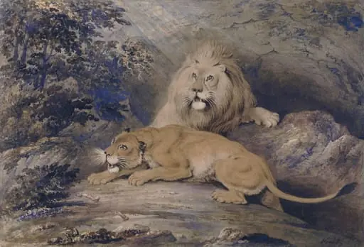 Lion and lioness