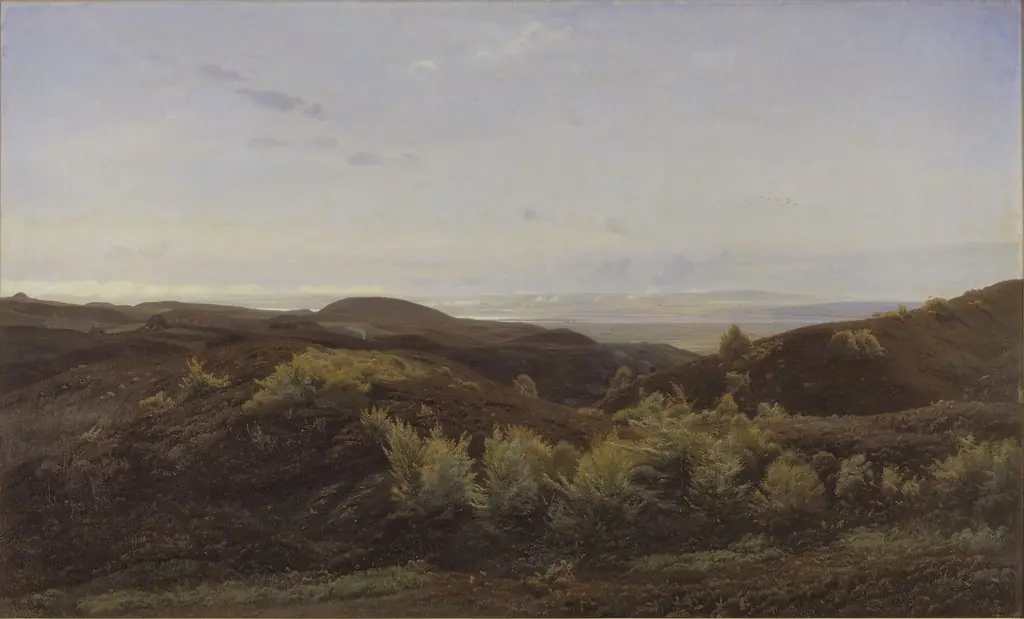 Heather Hills near Rye, Jutland