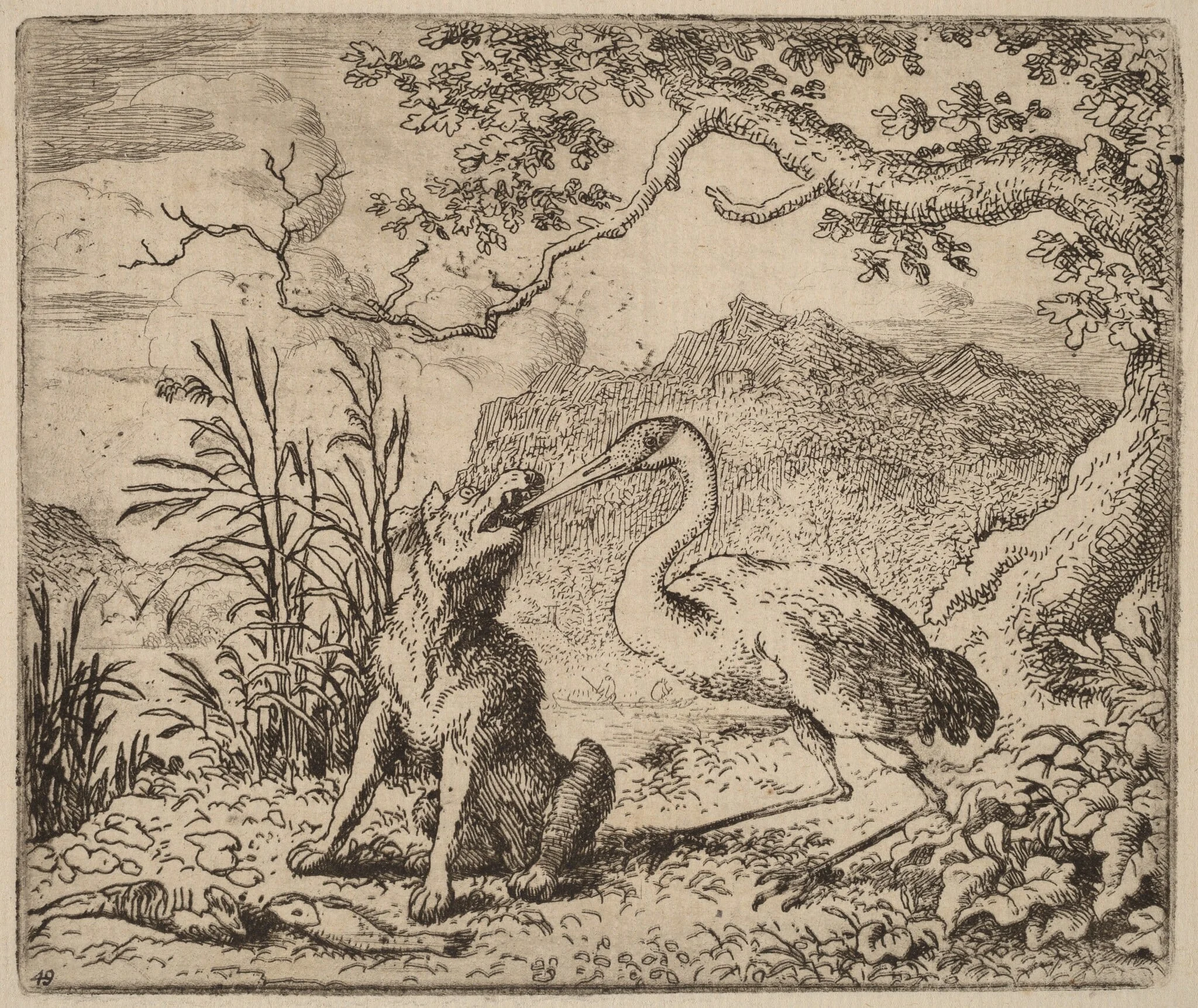The Wolf and the Crane