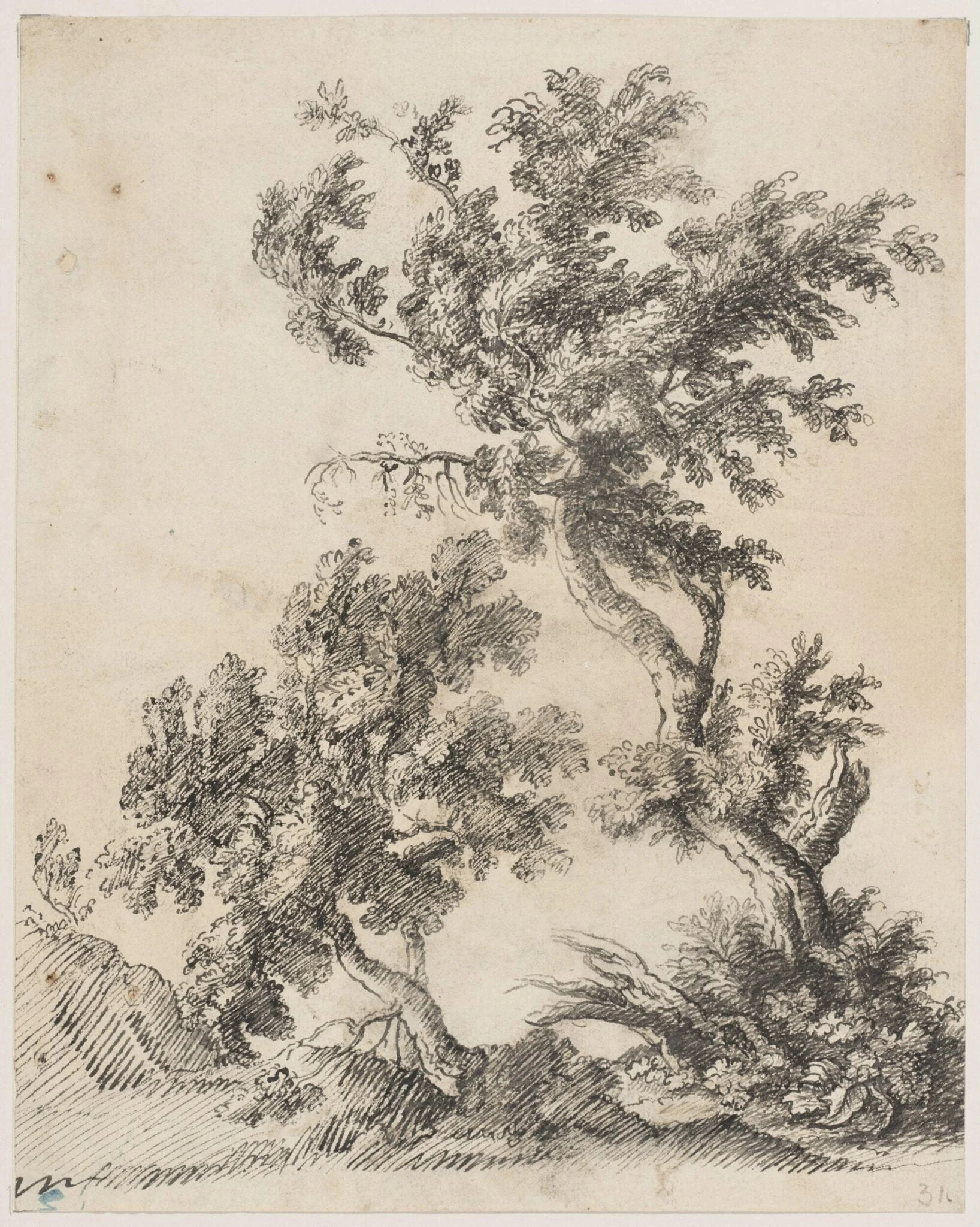 Two Trees