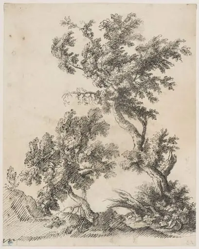 Two Trees
