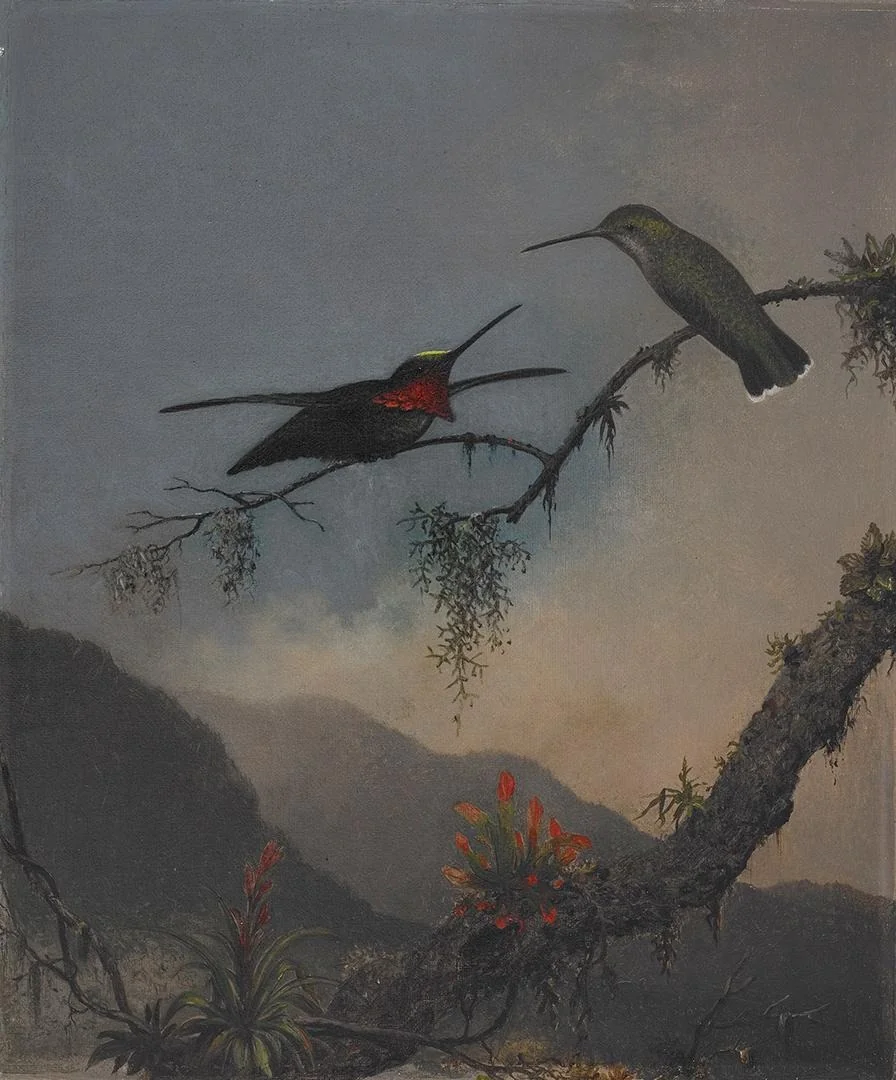 Stripe-breasted Starthroat, by Martin Johnson Heade, oil, 1863