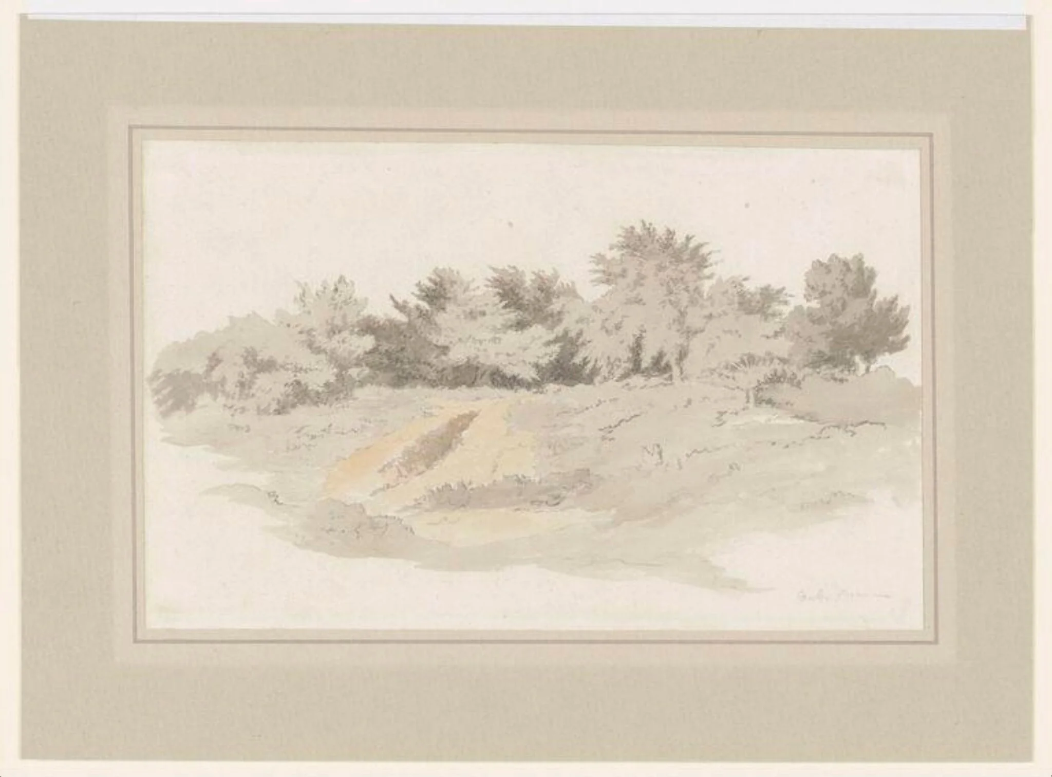 A Group of Trees in Heathland