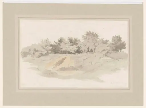 A Group of Trees in Heathland