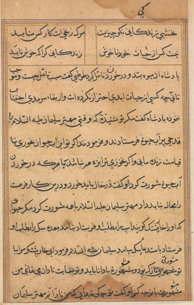 Page from Tales of a Parrot (Tuti-nama): text page