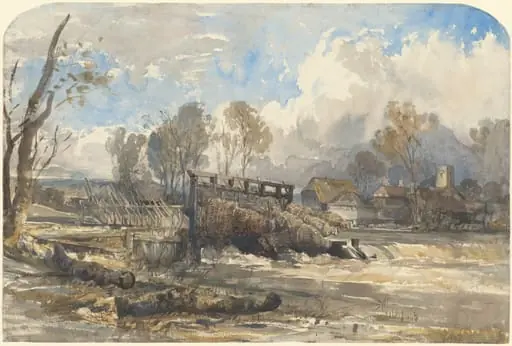 Eel Bucks at Goring