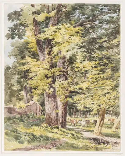 Park at Stoke, Guildford