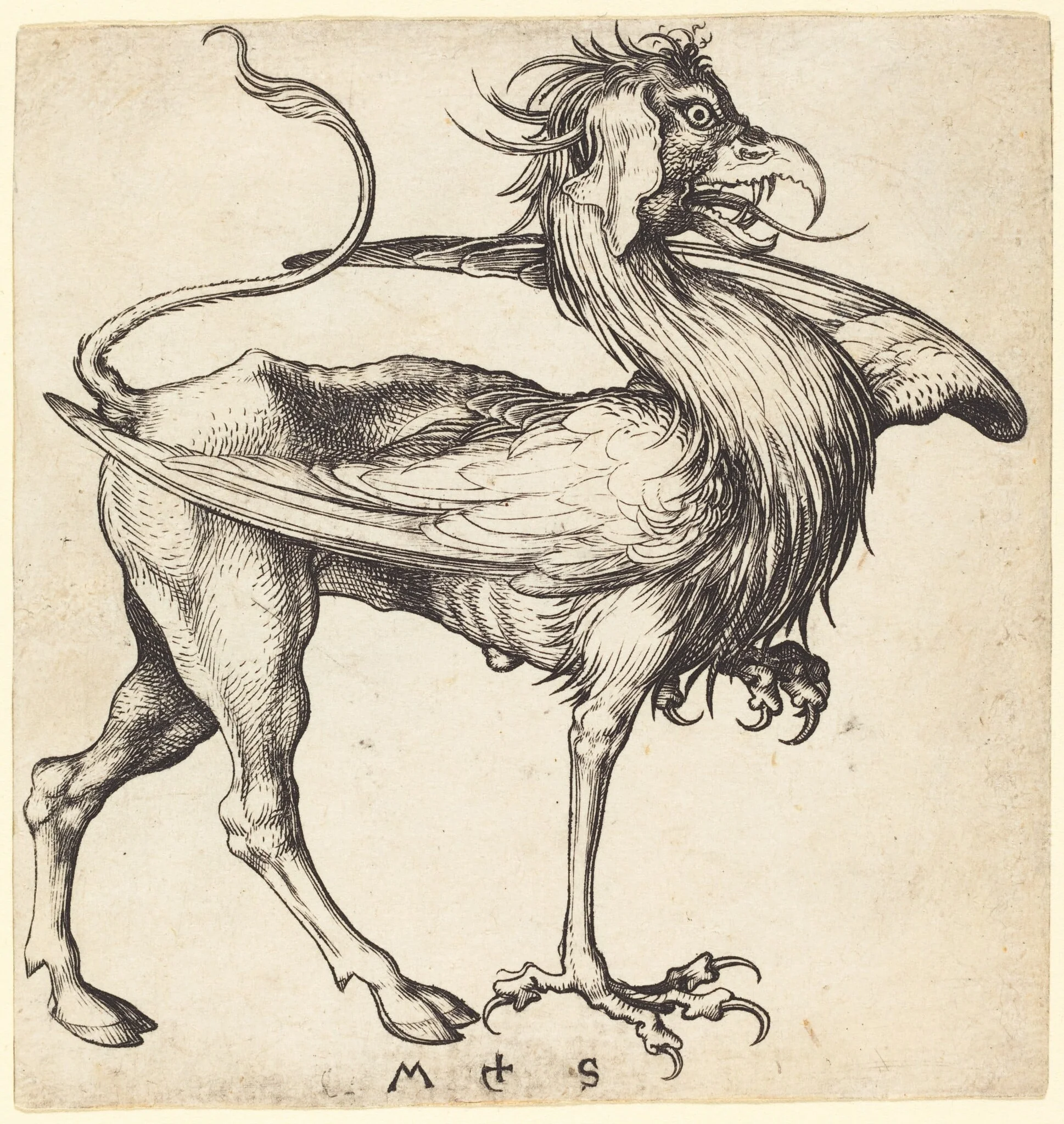 The Griffin, by Martin Schongauer, ink, 1485