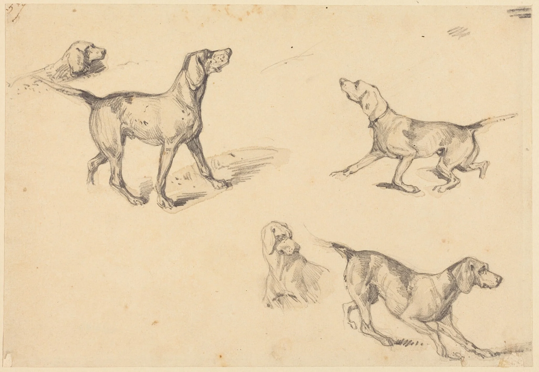 Five Studies of a French Pointer, by Richard Parkes Bonington, graphite, 1826