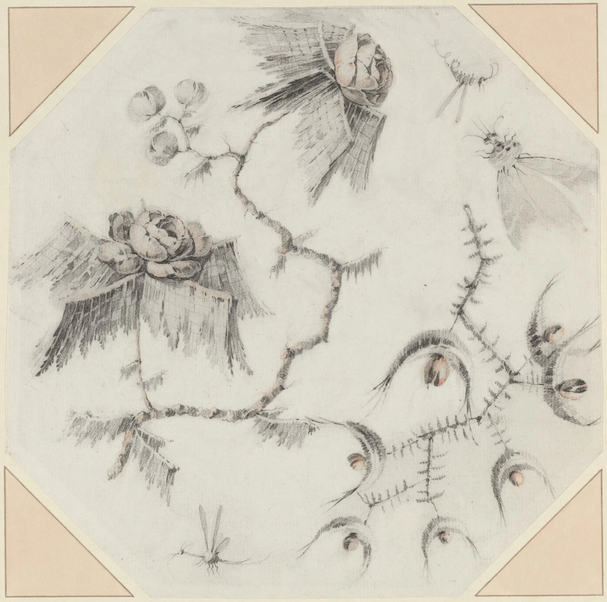 Fanciful Flowers and Bugs, by Jean-Baptiste Pillement, chalk, 1768