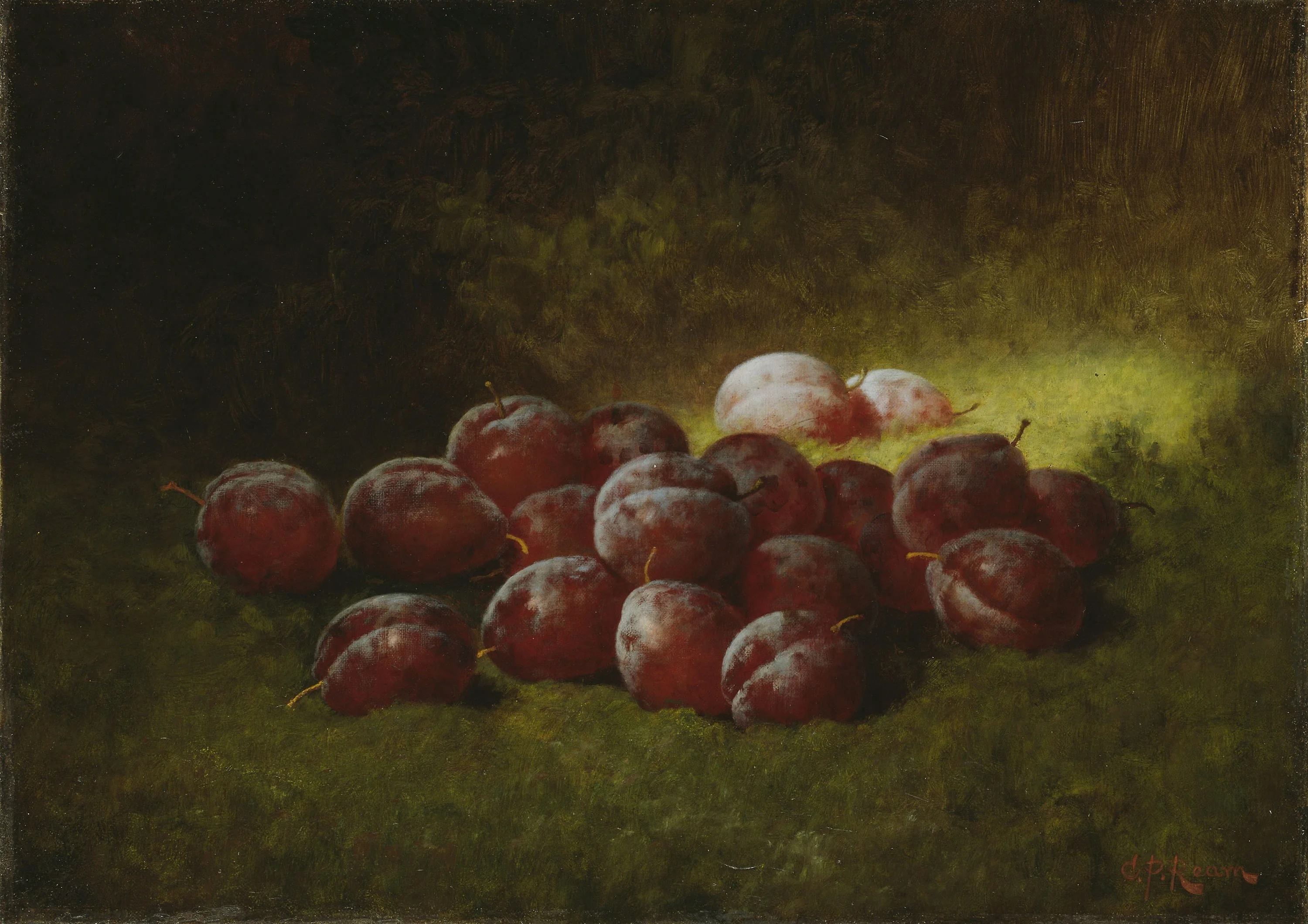 Purple Plums