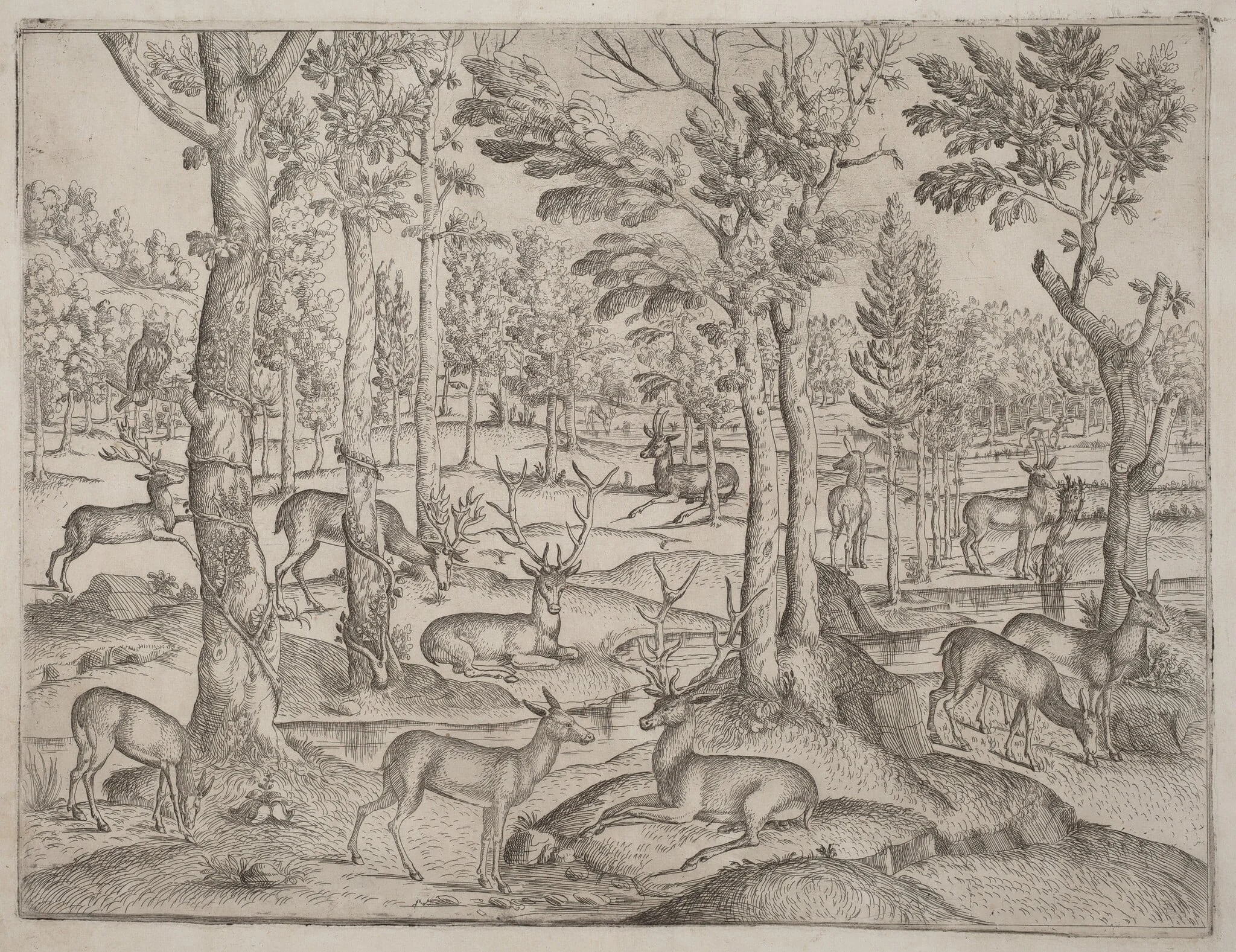 Deer in the Forest, by Italian 16th Century, ink, 1520