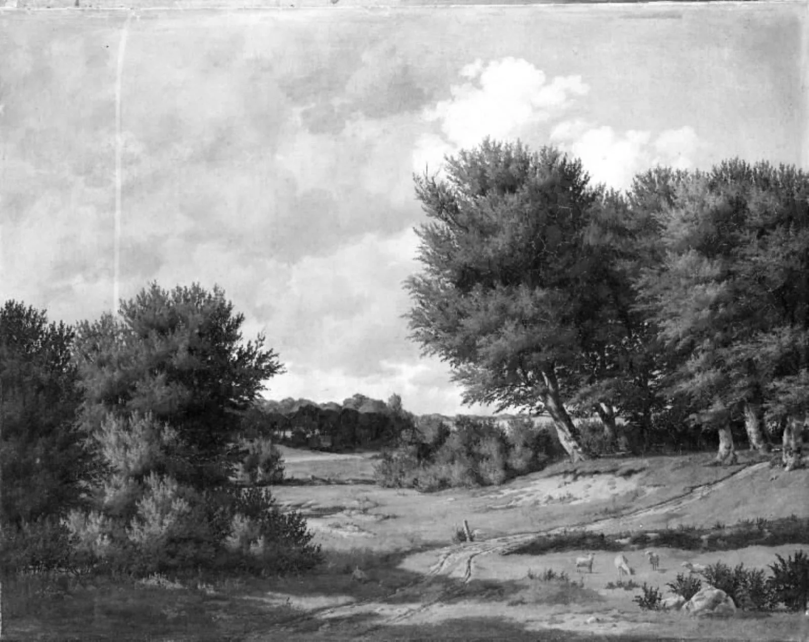 A Landscape near Ordrup, Zealand