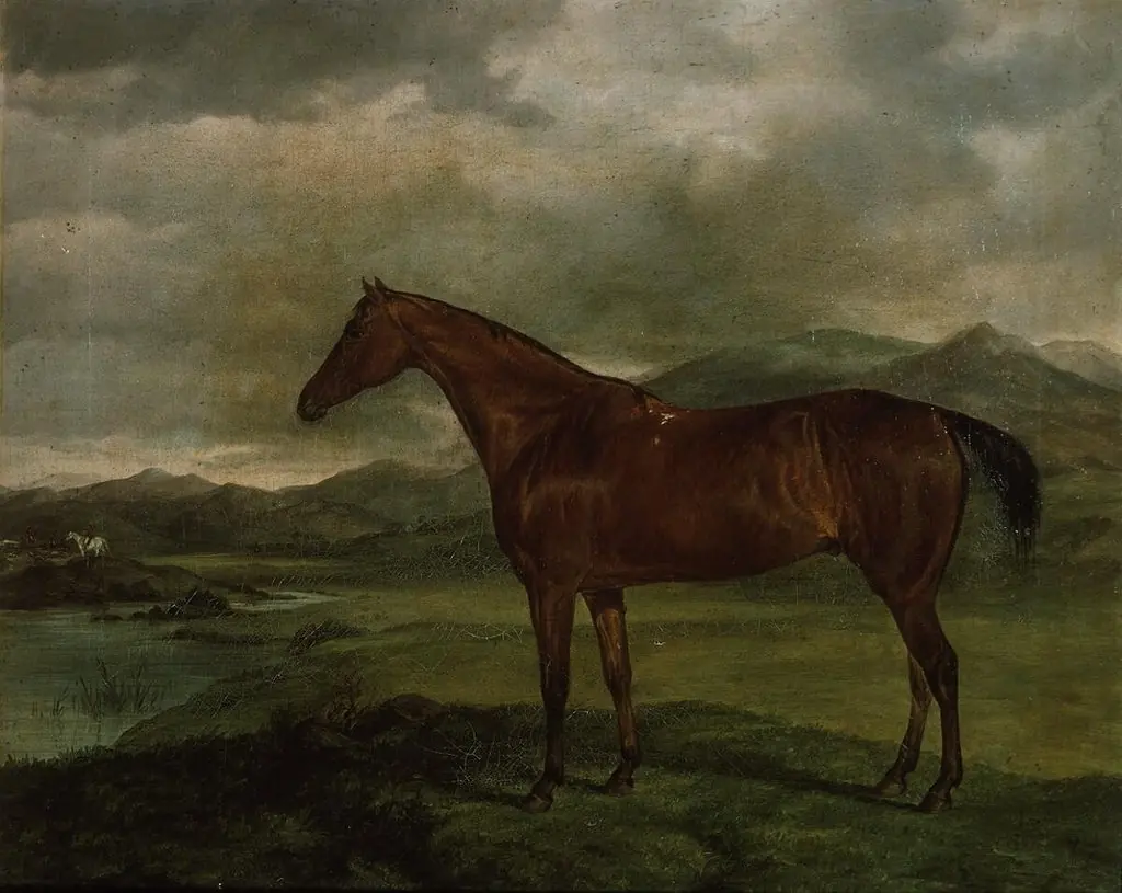 Portrait of a hunter in landscape